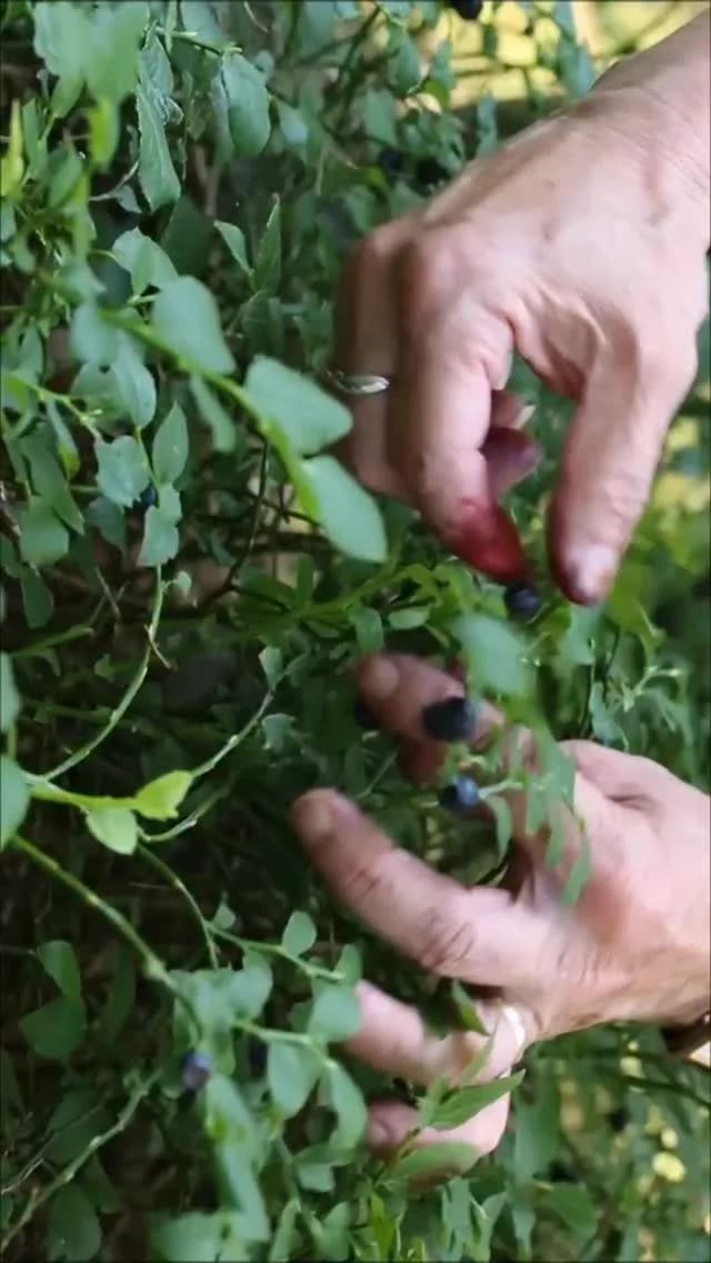 Січень ламає стереотипи 
По-перше, сніг лежить вже більше тижня.
По-друге, від завтра ми оголошуємо Ягідний тиждень 🍓🫐