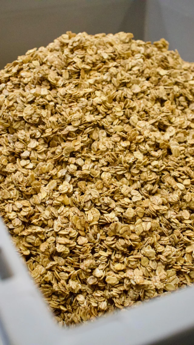 Печиво амареті, кешʼю, мигдаль і молочний шоколад - а кава мʼяко обʼєднує все це в смак, що нагадує ранкову чашку капучино ☕️

Той самий, з якого починається ранок 🤍